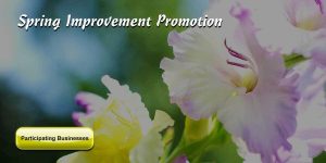 WKLM Spring Improvement Promotion